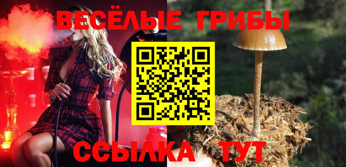 Псилоцибиновые грибы мухоморы Артёмовский